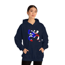 Load image into Gallery viewer, Coqui Bandera Hoodie