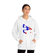 Load image into Gallery viewer, Coqui Bandera Hoodie