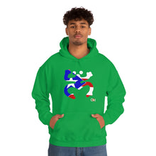 Load image into Gallery viewer, Coqui Bandera Hoodie