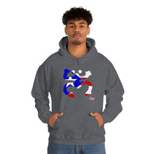 Load image into Gallery viewer, Coqui Bandera Hoodie