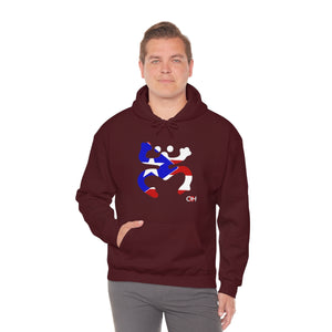 Coqui Bandera Hoodie