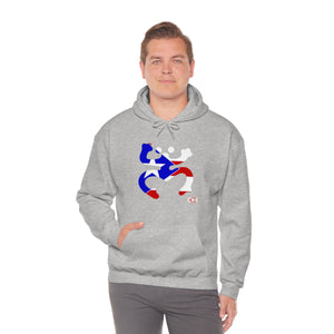 Coqui Bandera Hoodie