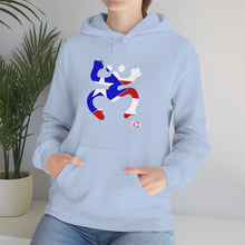 Load image into Gallery viewer, Coqui Bandera Hoodie