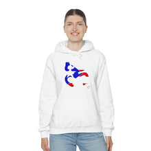 Load image into Gallery viewer, Coqui Bandera Hoodie