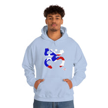 Load image into Gallery viewer, Coqui Bandera Hoodie