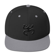 Load image into Gallery viewer, Coqui Style Snapback Hat